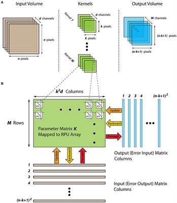 Training Deep Convolutional Neural Networks with Resistive Cross-Point Devices